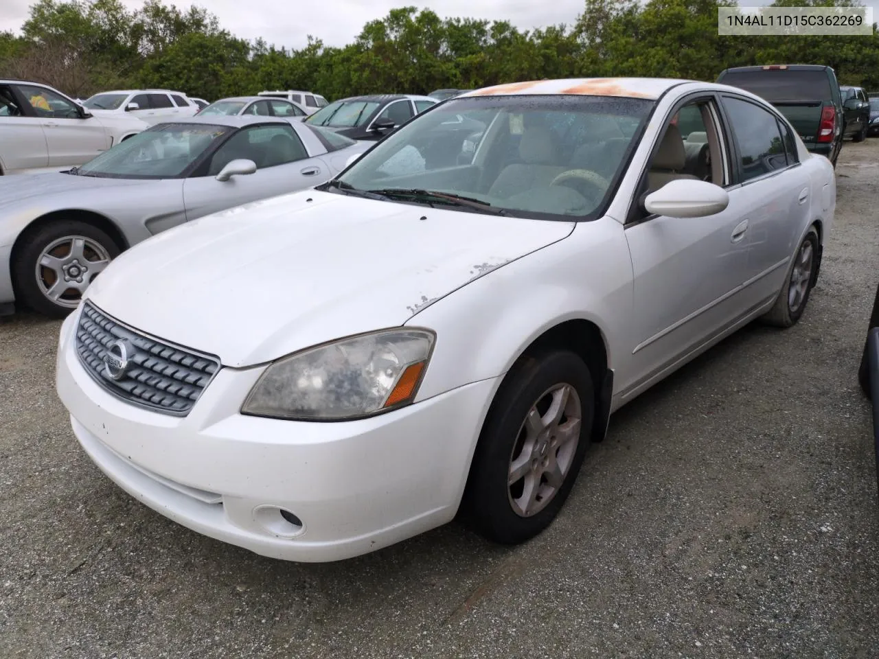 2005 Nissan Altima S VIN: 1N4AL11D15C362269 Lot: 74317694