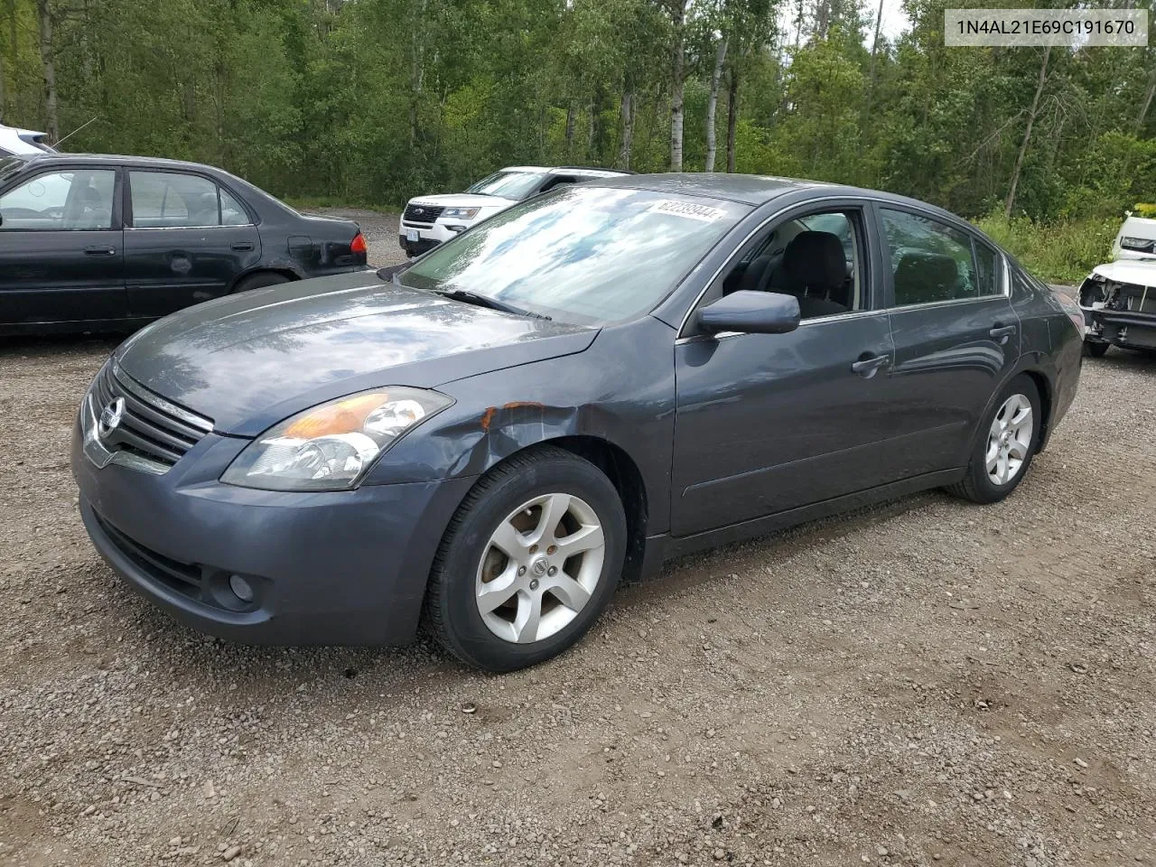 2009 Nissan Altima 2.5 VIN: 1N4AL21E69C191670 Lot: 62239944