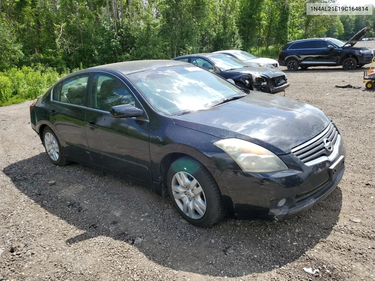 2009 Nissan Altima 2.5 VIN: 1N4AL21E19C164814 Lot: 62321874