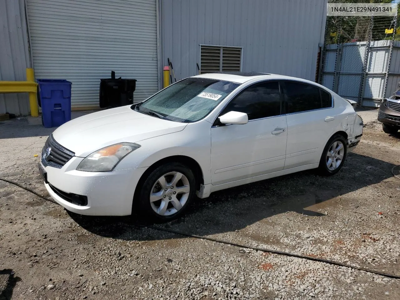 2009 Nissan Altima 2.5 VIN: 1N4AL21E29N491341 Lot: 73519054