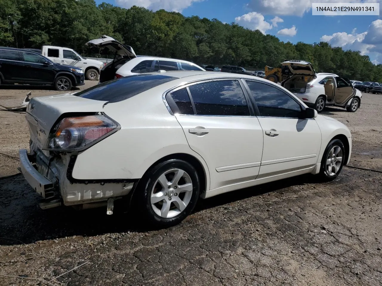 2009 Nissan Altima 2.5 VIN: 1N4AL21E29N491341 Lot: 73519054