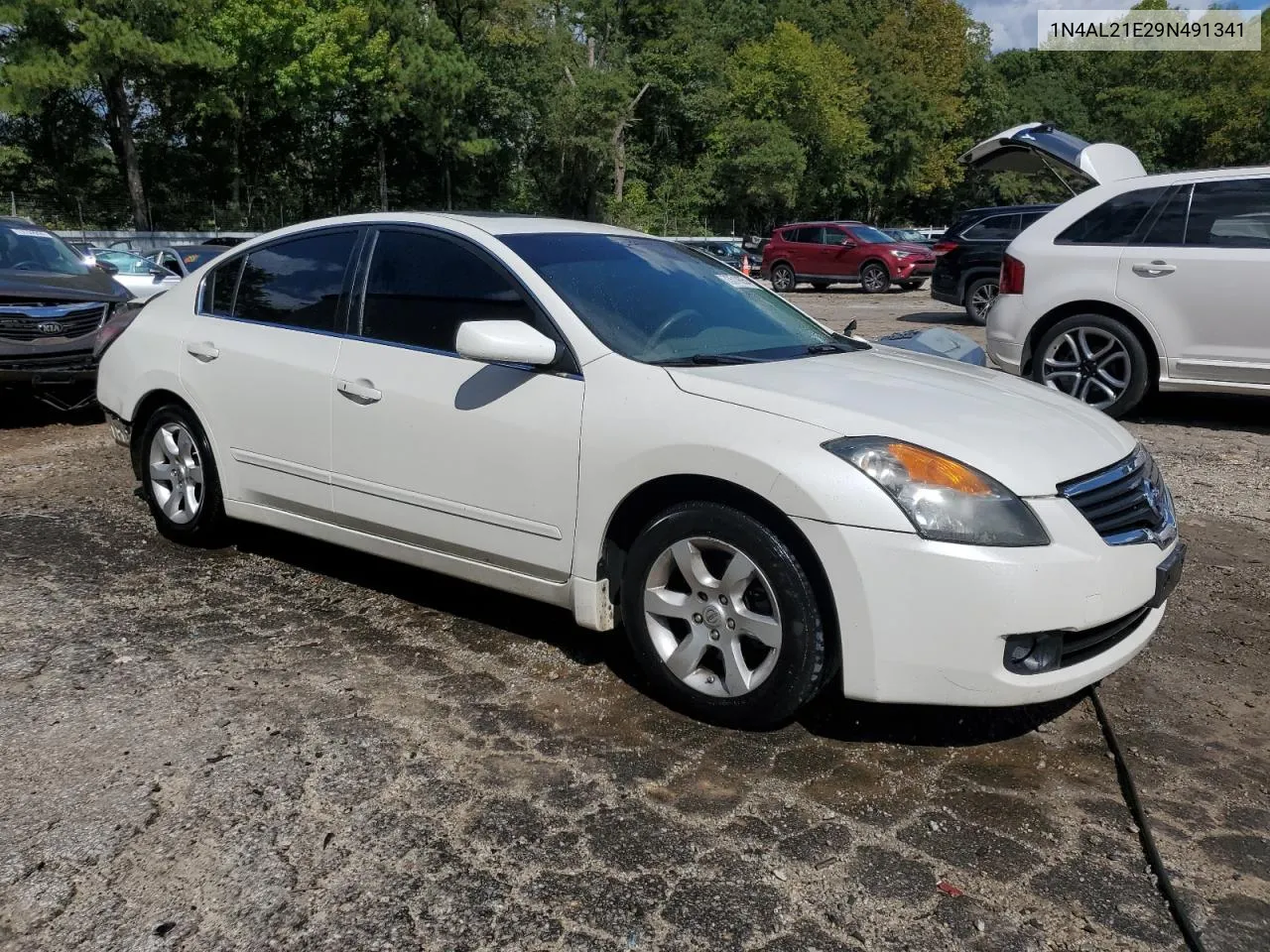 2009 Nissan Altima 2.5 VIN: 1N4AL21E29N491341 Lot: 73519054