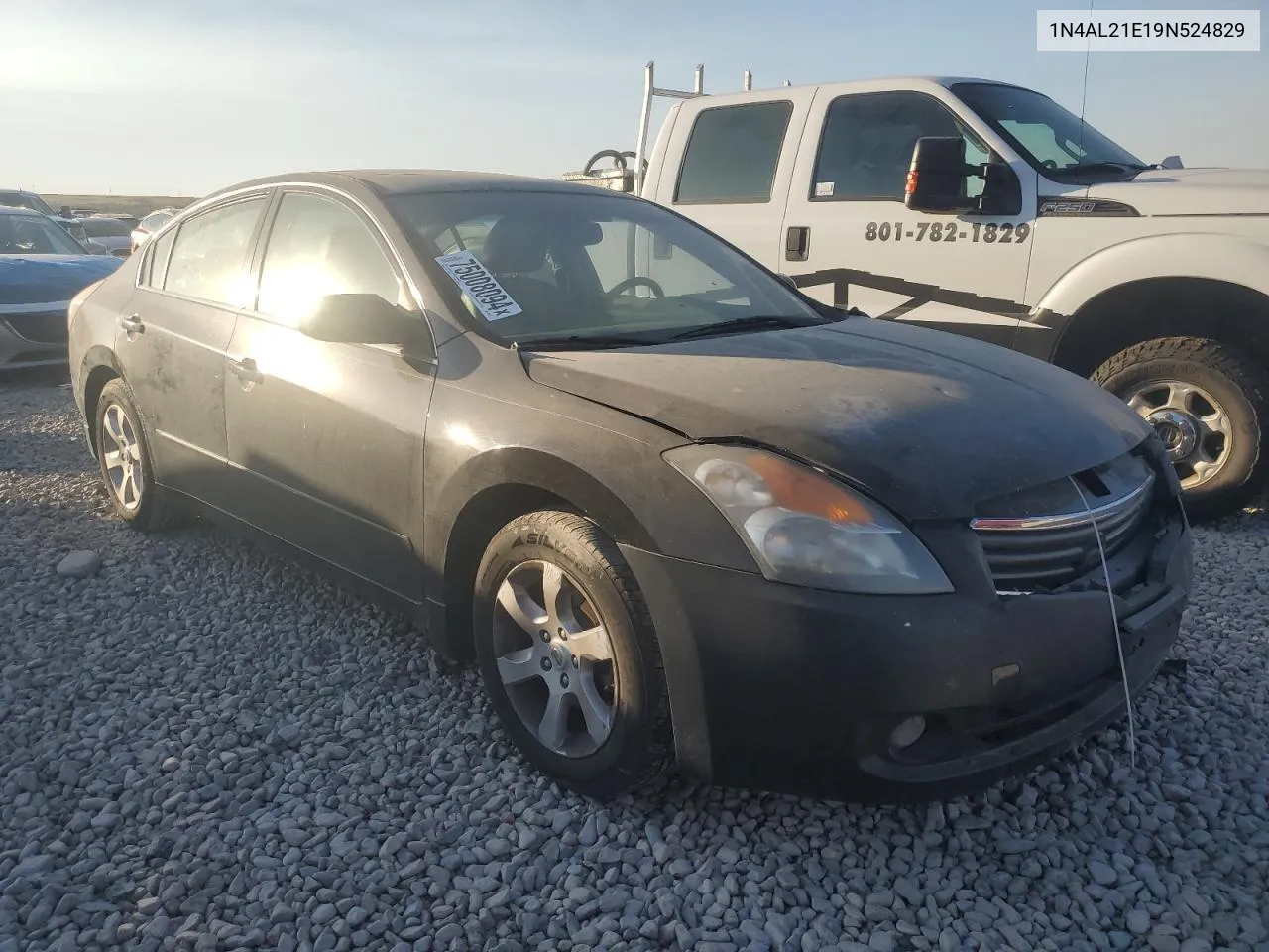 2009 Nissan Altima 2.5 VIN: 1N4AL21E19N524829 Lot: 75008094