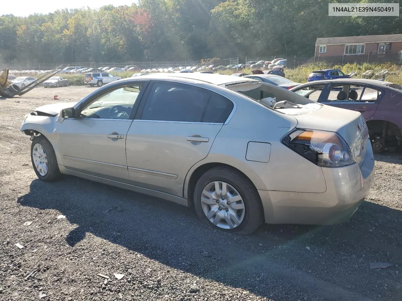 2009 Nissan Altima 2.5 VIN: 1N4AL21E39N450491 Lot: 76684314