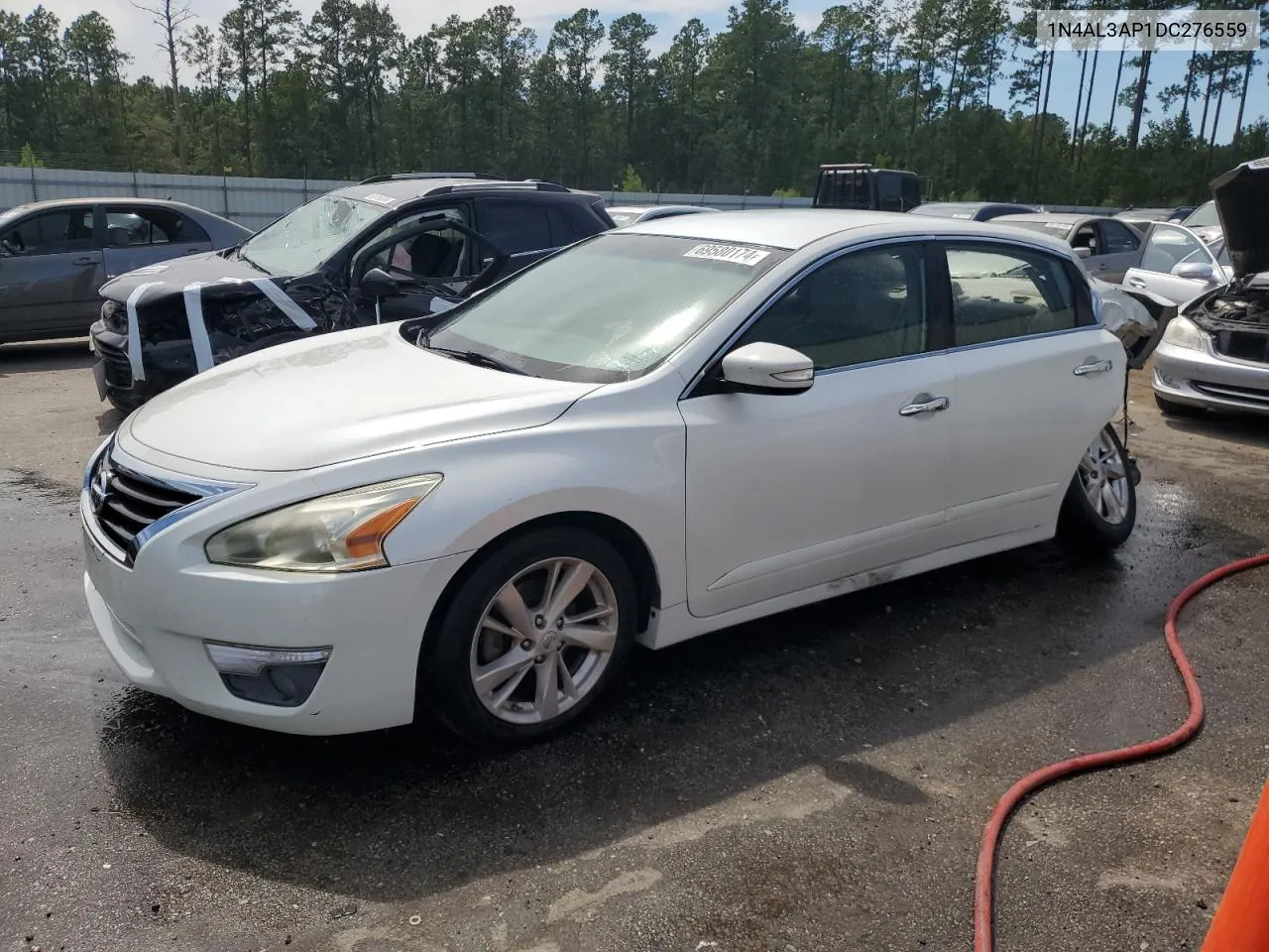 2013 Nissan Altima 2.5 VIN: 1N4AL3AP1DC276559 Lot: 69580174