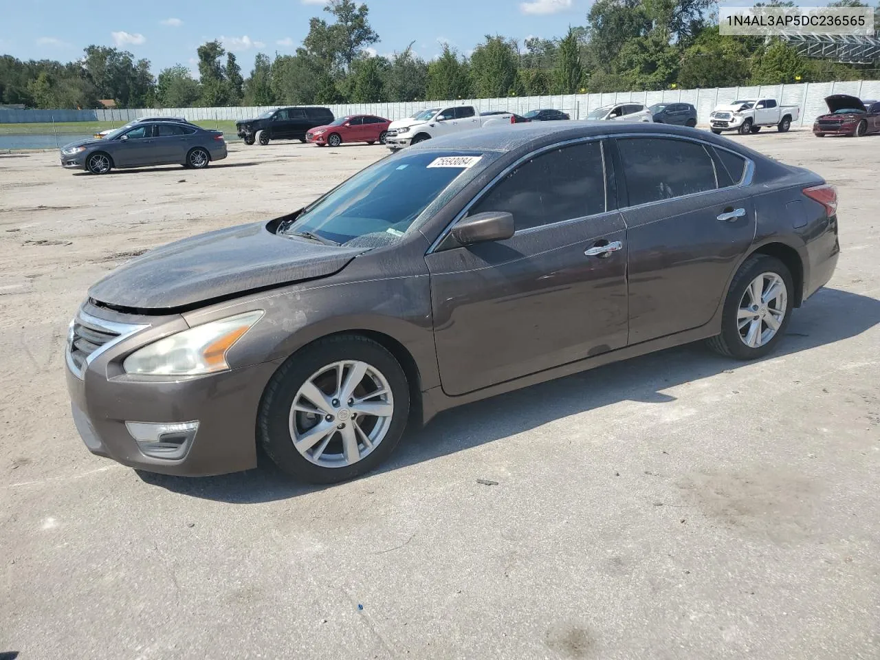 2013 Nissan Altima 2.5 VIN: 1N4AL3AP5DC236565 Lot: 75593084