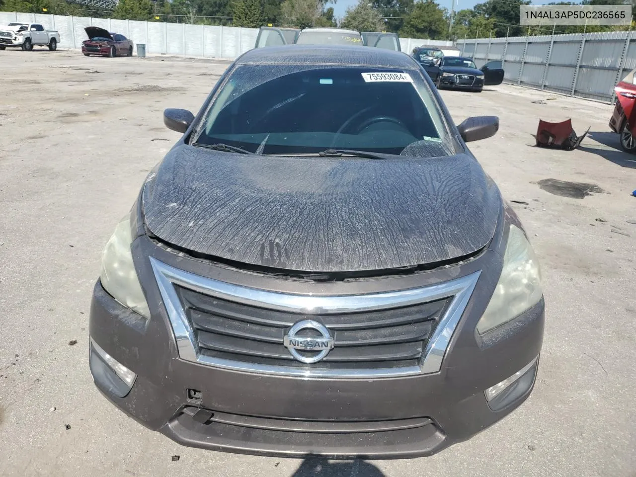 2013 Nissan Altima 2.5 VIN: 1N4AL3AP5DC236565 Lot: 75593084