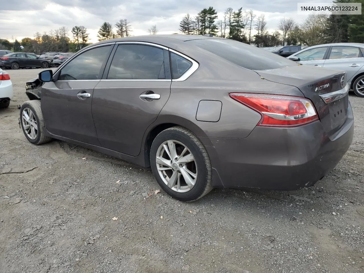 2013 Nissan Altima 2.5 VIN: 1N4AL3AP6DC123224 Lot: 79259834