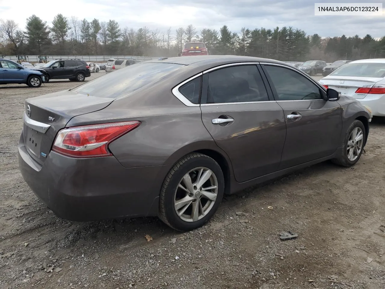 2013 Nissan Altima 2.5 VIN: 1N4AL3AP6DC123224 Lot: 79259834