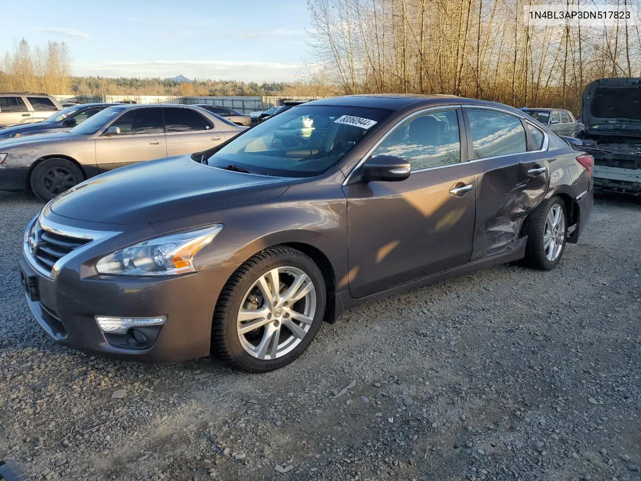 2013 Nissan Altima 3.5S VIN: 1N4BL3AP3DN517823 Lot: 80060944