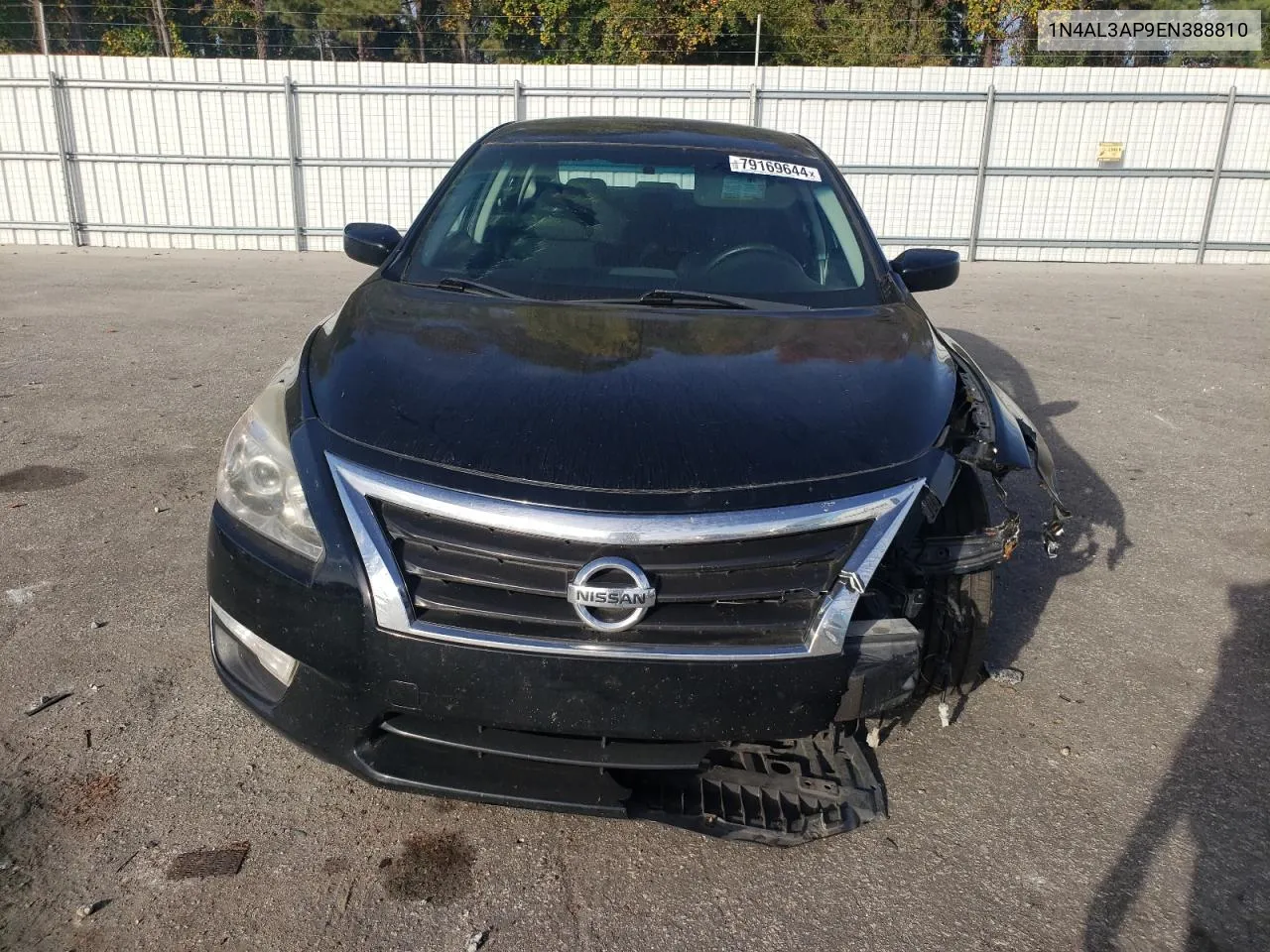 2014 Nissan Altima 2.5 VIN: 1N4AL3AP9EN388810 Lot: 79169644