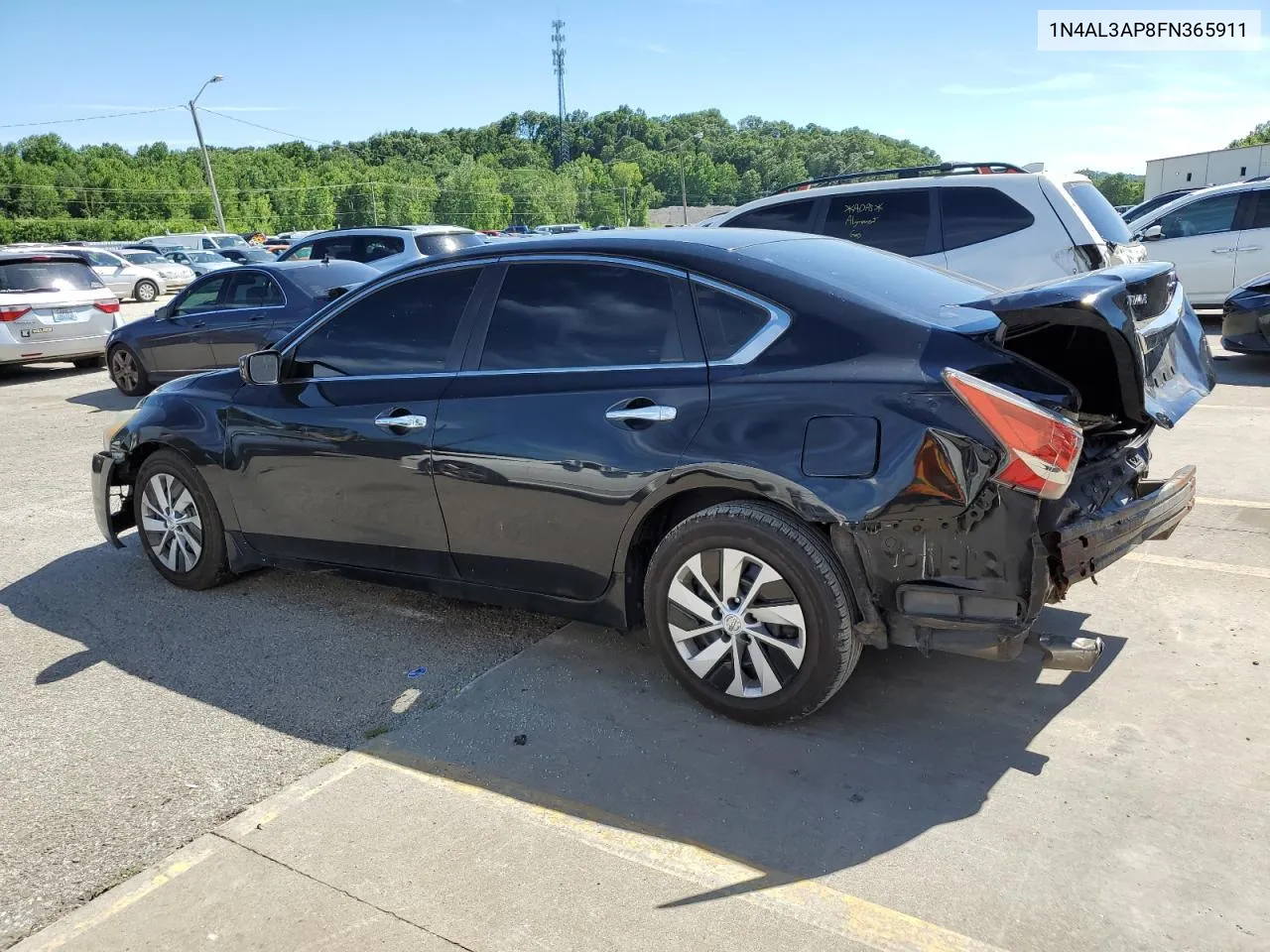 2015 Nissan Altima 2.5 VIN: 1N4AL3AP8FN365911 Lot: 61226864