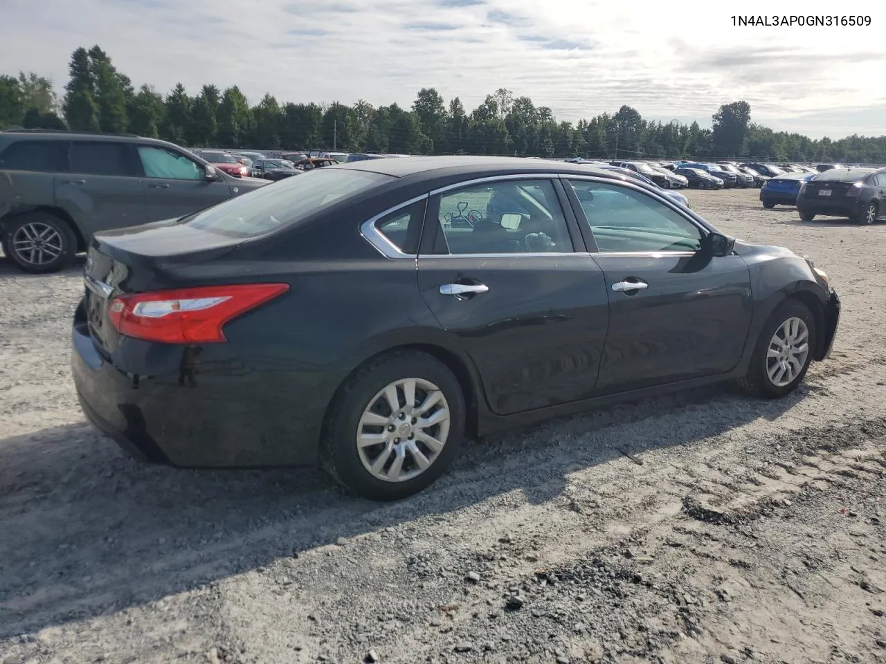 2016 Nissan Altima 2.5 VIN: 1N4AL3AP0GN316509 Lot: 66282284