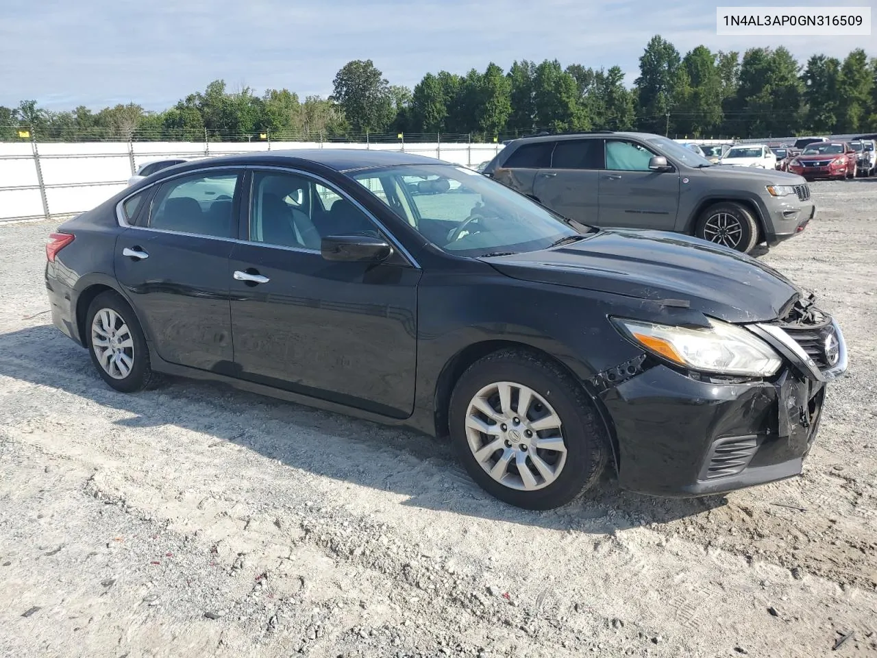 2016 Nissan Altima 2.5 VIN: 1N4AL3AP0GN316509 Lot: 66282284