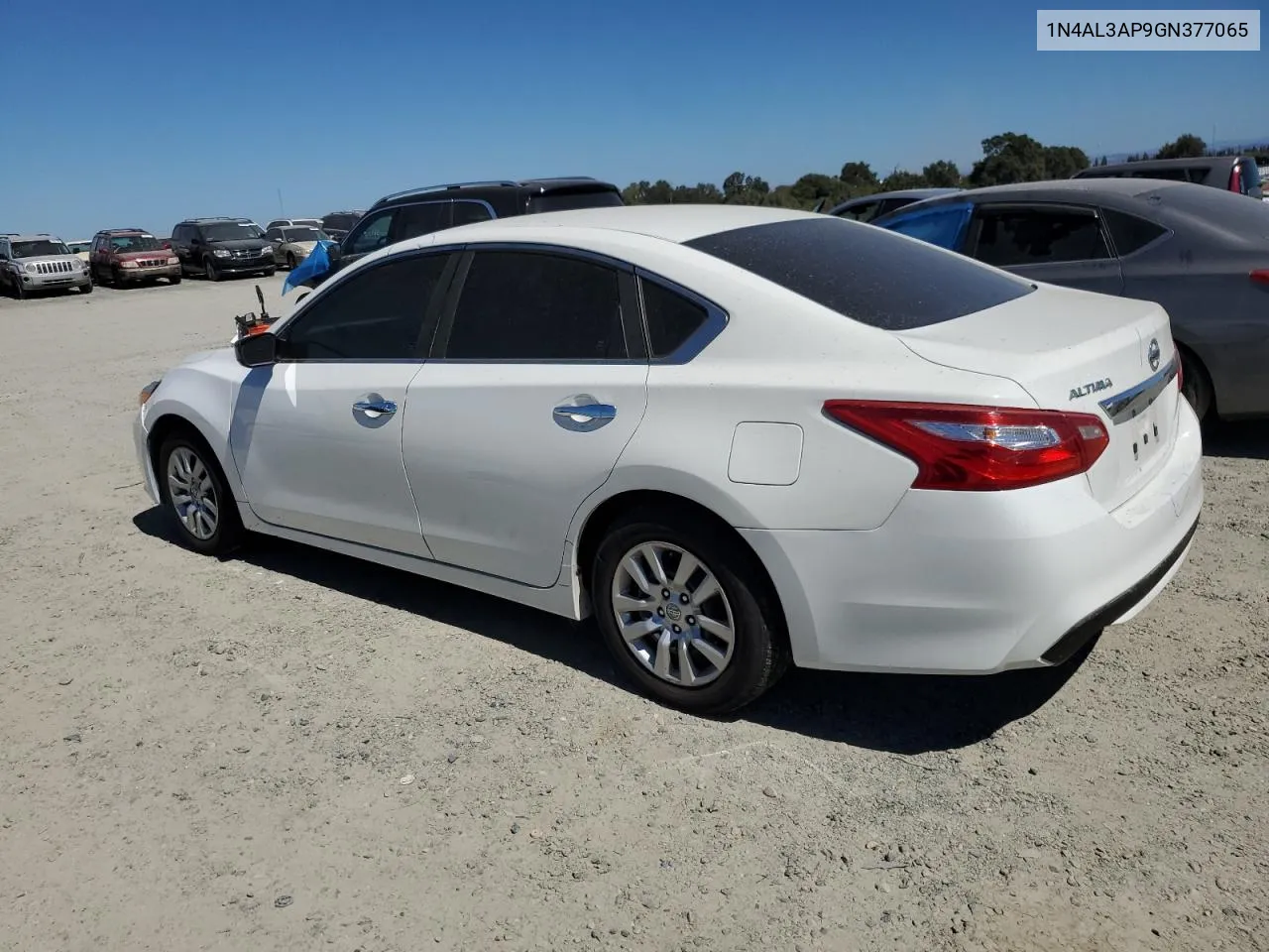 2016 Nissan Altima 2.5 VIN: 1N4AL3AP9GN377065 Lot: 71248634