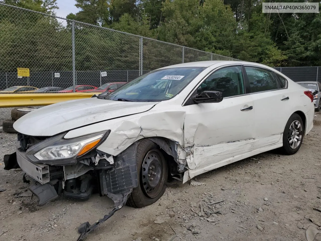 2016 Nissan Altima 2.5 VIN: 1N4AL3AP4GN365079 Lot: 71538344