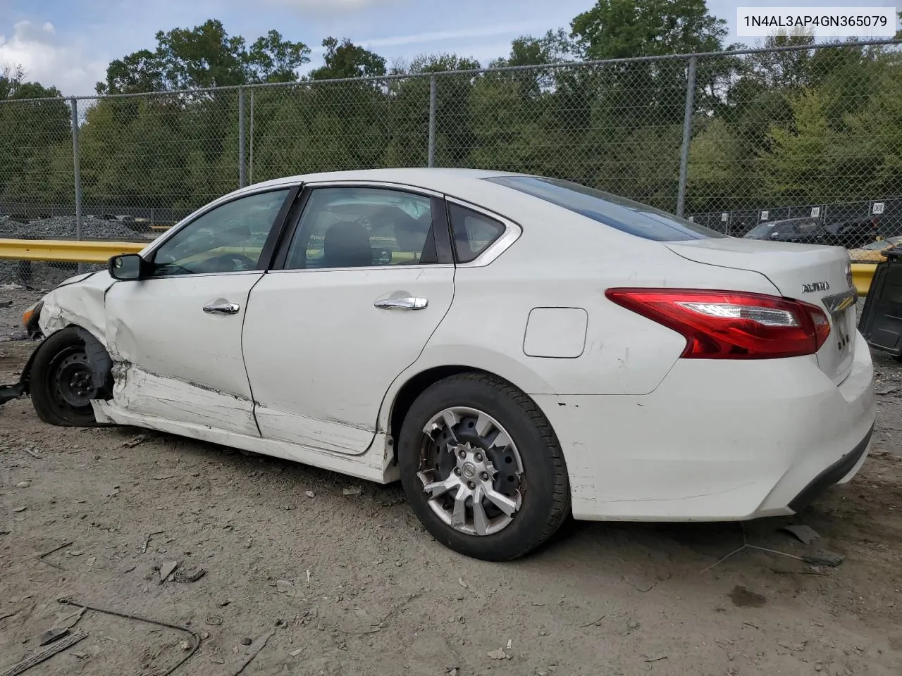 2016 Nissan Altima 2.5 VIN: 1N4AL3AP4GN365079 Lot: 71538344