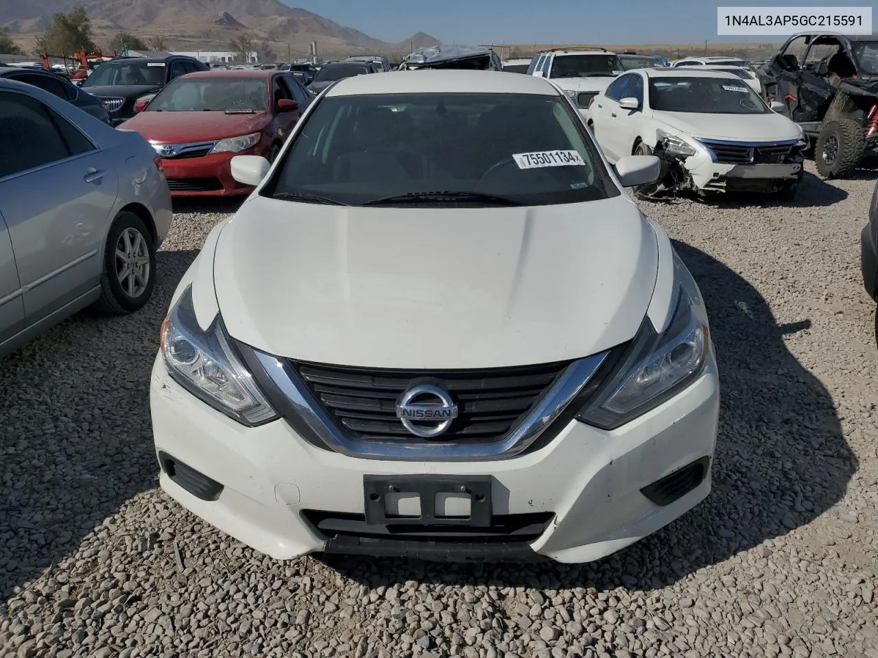 2016 Nissan Altima 2.5 VIN: 1N4AL3AP5GC215591 Lot: 75501134