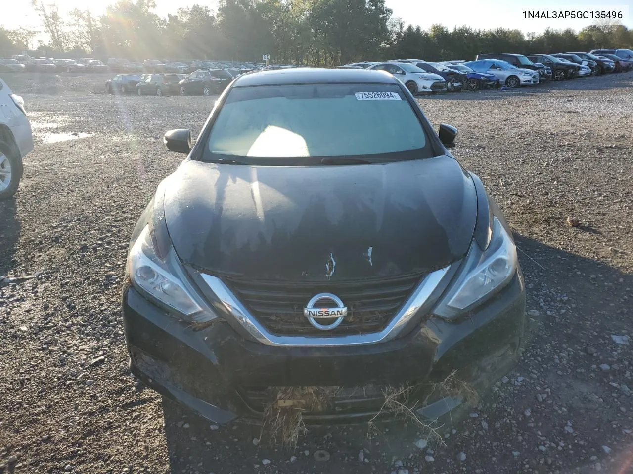 2016 Nissan Altima 2.5 VIN: 1N4AL3AP5GC135496 Lot: 75526094