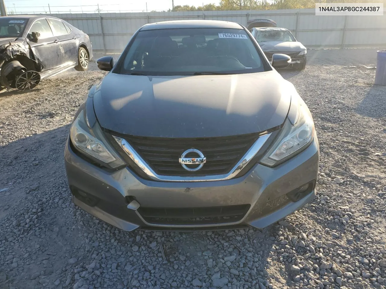 2016 Nissan Altima 2.5 VIN: 1N4AL3AP8GC244387 Lot: 76529774