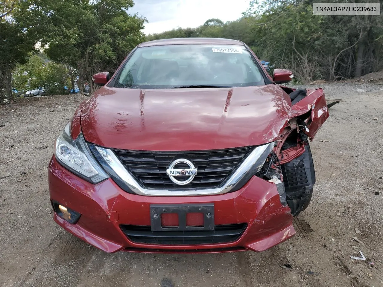 2017 Nissan Altima 2.5 VIN: 1N4AL3AP7HC239683 Lot: 75613144