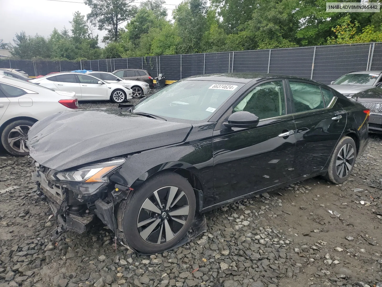 2021 Nissan Altima Sv VIN: 1N4BL4DV8MN365442 Lot: 66374624