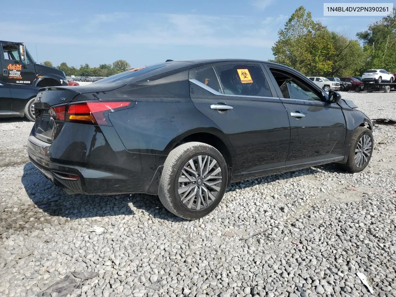 2023 Nissan Altima Sv VIN: 1N4BL4DV2PN390261 Lot: 71838274