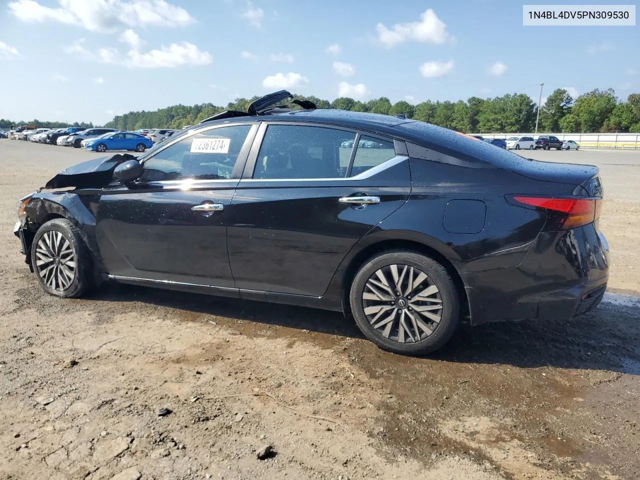 2023 Nissan Altima Sv VIN: 1N4BL4DV5PN309530 Lot: 72361274