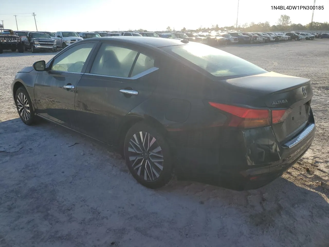 2023 Nissan Altima Sv VIN: 1N4BL4DW1PN300185 Lot: 74721044