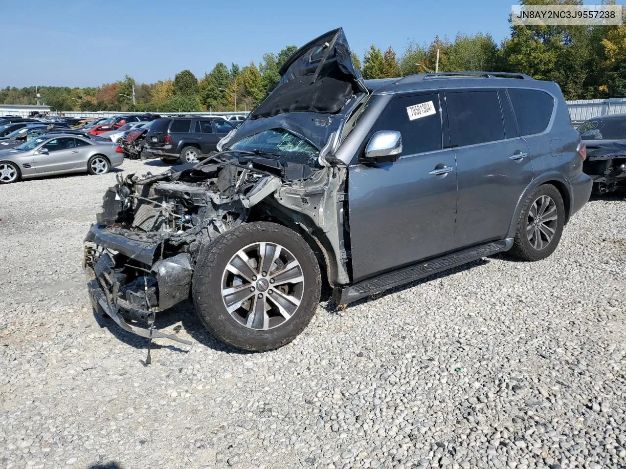 2018 Nissan Armada Sv VIN: JN8AY2NC3J9557238 Lot: 78581304