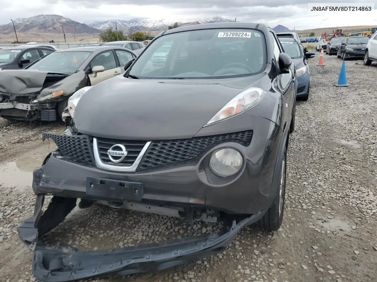 2013 Nissan Juke S VIN: JN8AF5MV8DT214863 Lot: 75709224