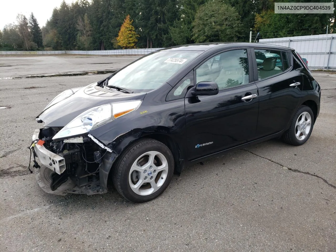 2013 Nissan Leaf S VIN: 1N4AZ0CP9DC404539 Lot: 77425574