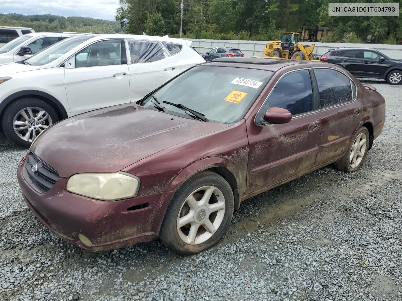 2001 Nissan Maxima Gxe VIN: JN1CA31D01T604793 Lot: 73540234