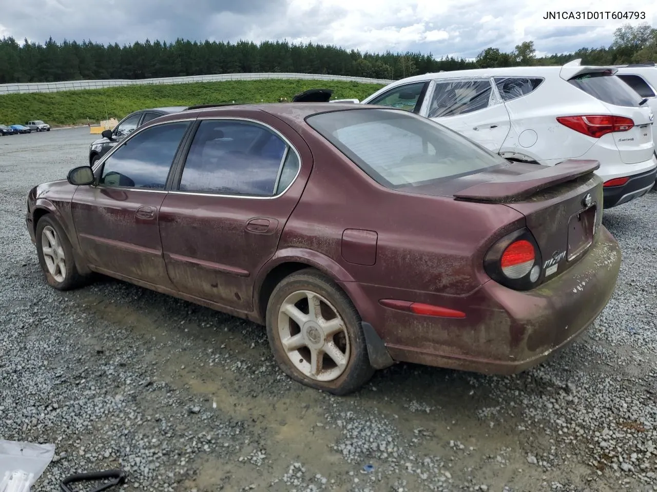 2001 Nissan Maxima Gxe VIN: JN1CA31D01T604793 Lot: 73540234