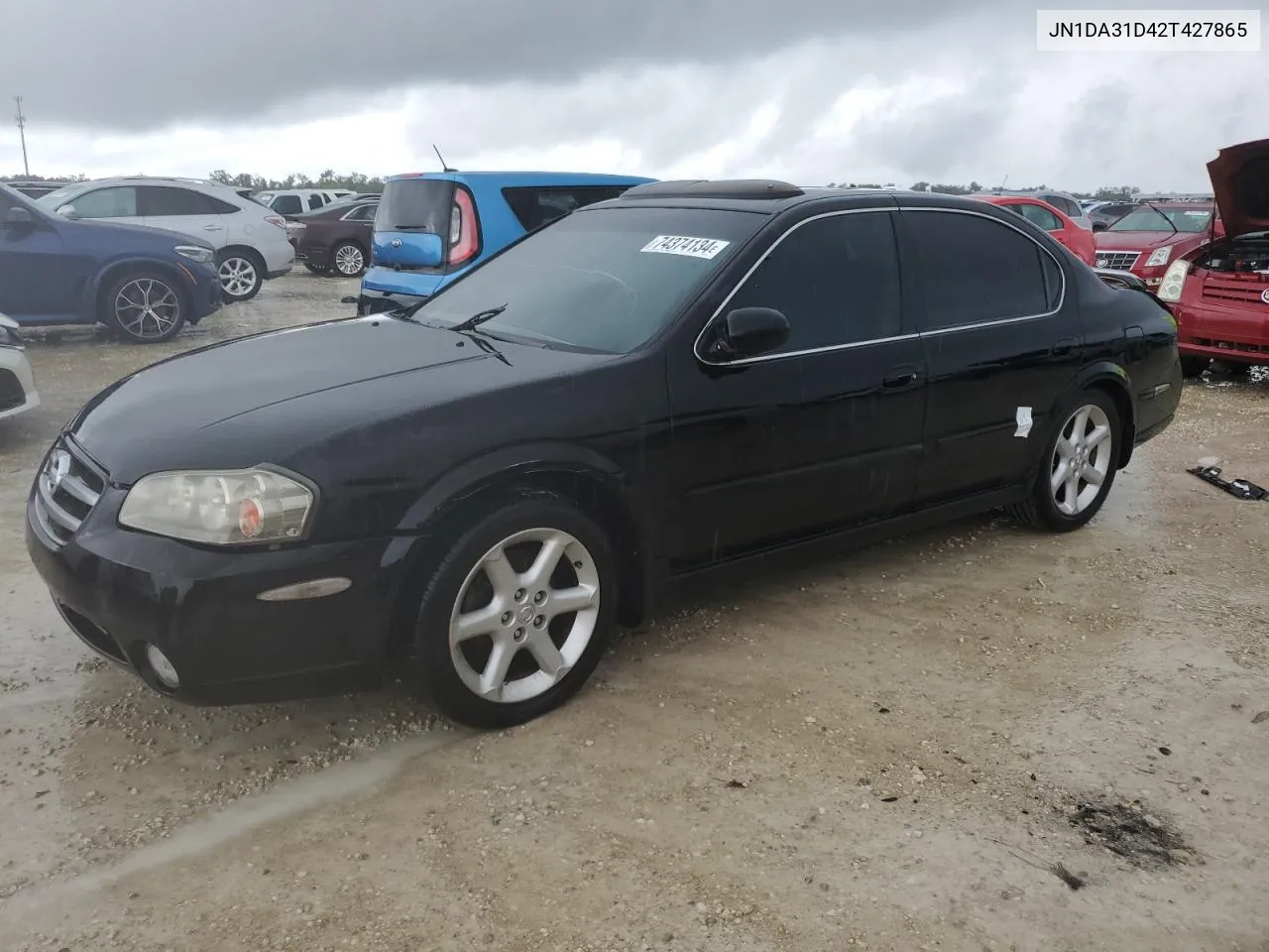 2002 Nissan Maxima Gle VIN: JN1DA31D42T427865 Lot: 74374134