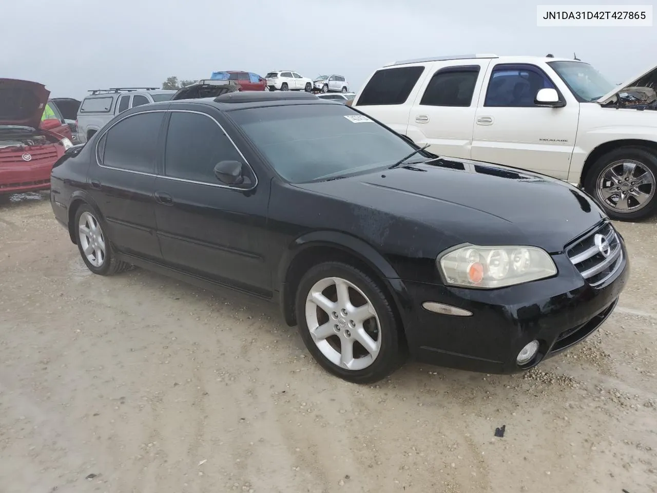 2002 Nissan Maxima Gle VIN: JN1DA31D42T427865 Lot: 74374134