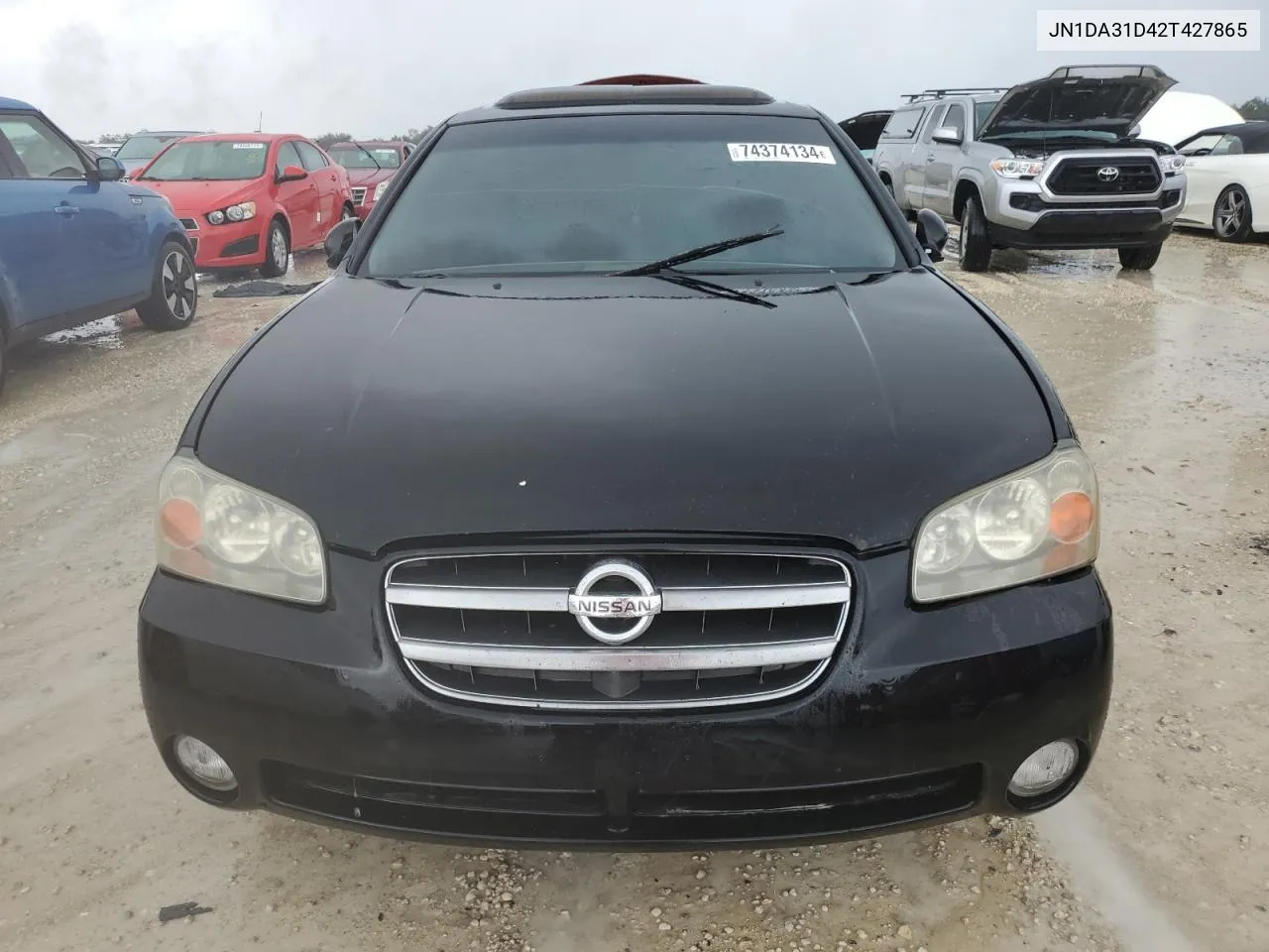 2002 Nissan Maxima Gle VIN: JN1DA31D42T427865 Lot: 74374134