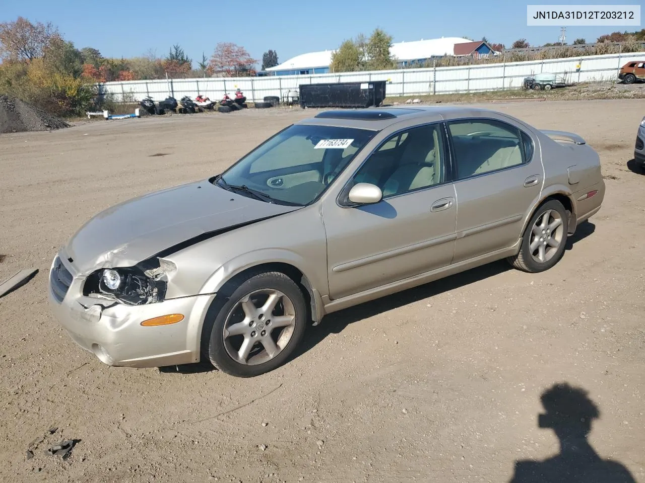 2002 Nissan Maxima Gle VIN: JN1DA31D12T203212 Lot: 77163734