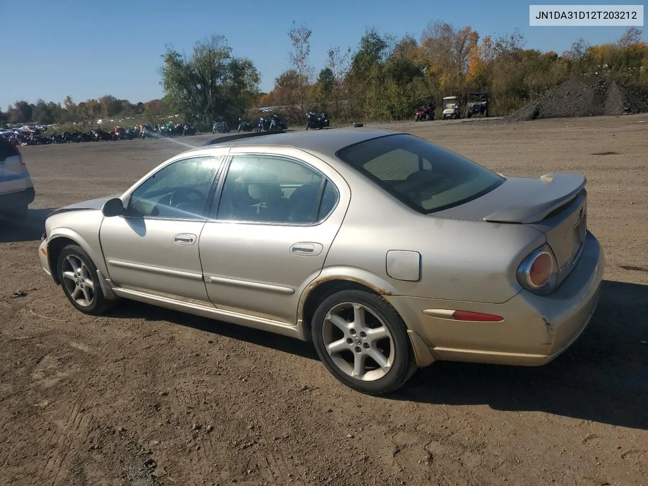 2002 Nissan Maxima Gle VIN: JN1DA31D12T203212 Lot: 77163734