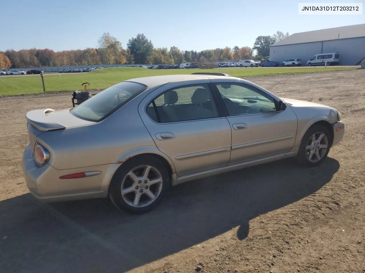 2002 Nissan Maxima Gle VIN: JN1DA31D12T203212 Lot: 77163734