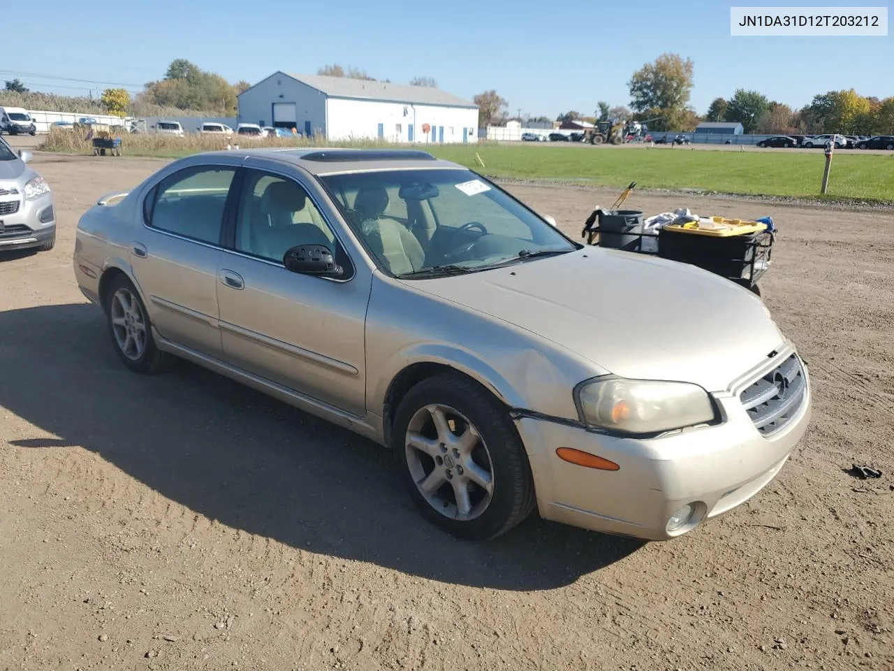 2002 Nissan Maxima Gle VIN: JN1DA31D12T203212 Lot: 77163734