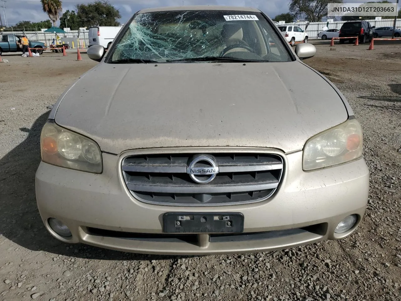 2002 Nissan Maxima Gle VIN: JN1DA31D12T203663 Lot: 78214744