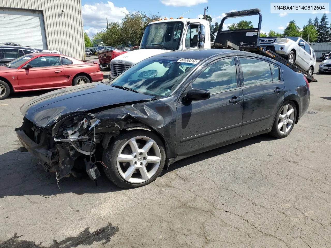 2004 Nissan Maxima Se VIN: 1N4BA41E14C812604 Lot: 58680314