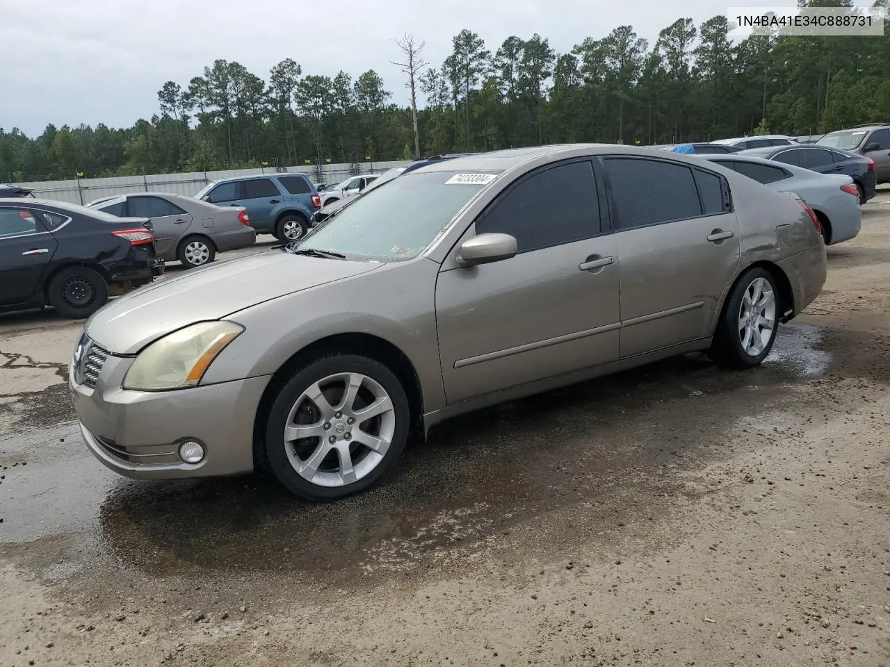 2004 Nissan Maxima Se VIN: 1N4BA41E34C888731 Lot: 74233304