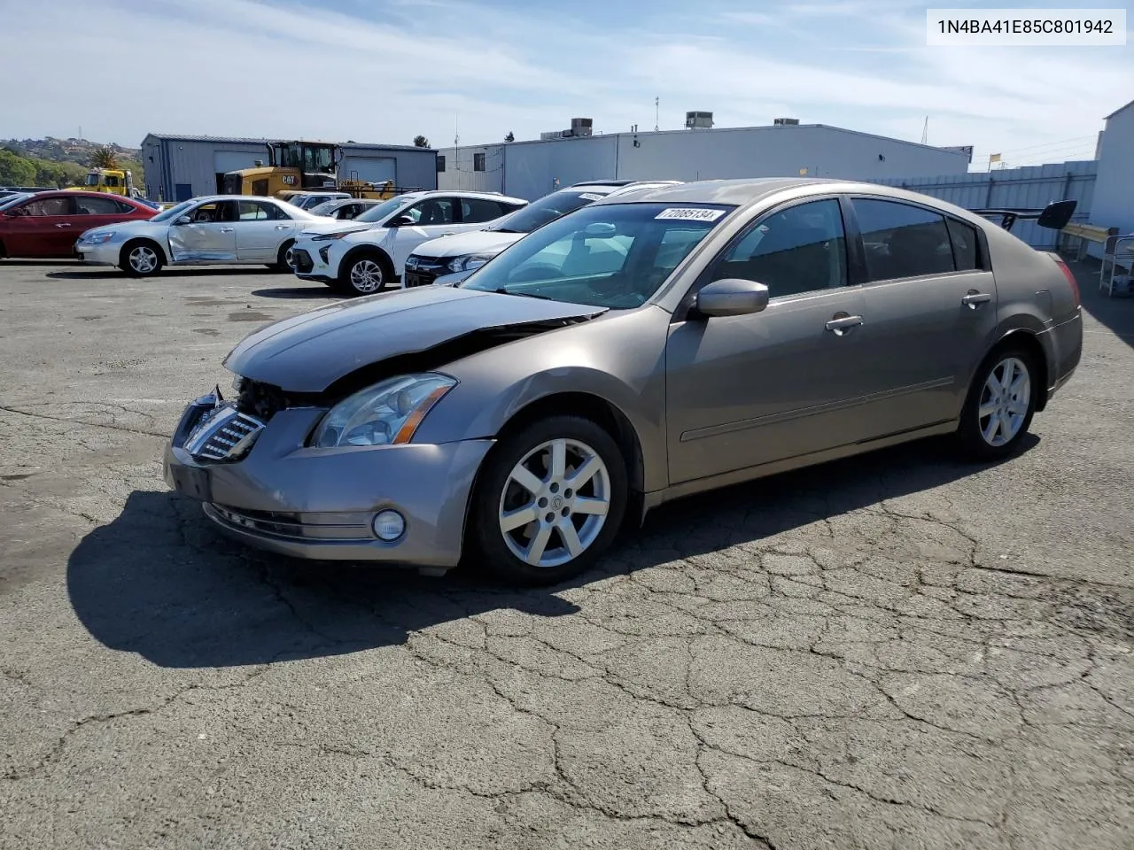 2005 Nissan Maxima Se VIN: 1N4BA41E85C801942 Lot: 72085134