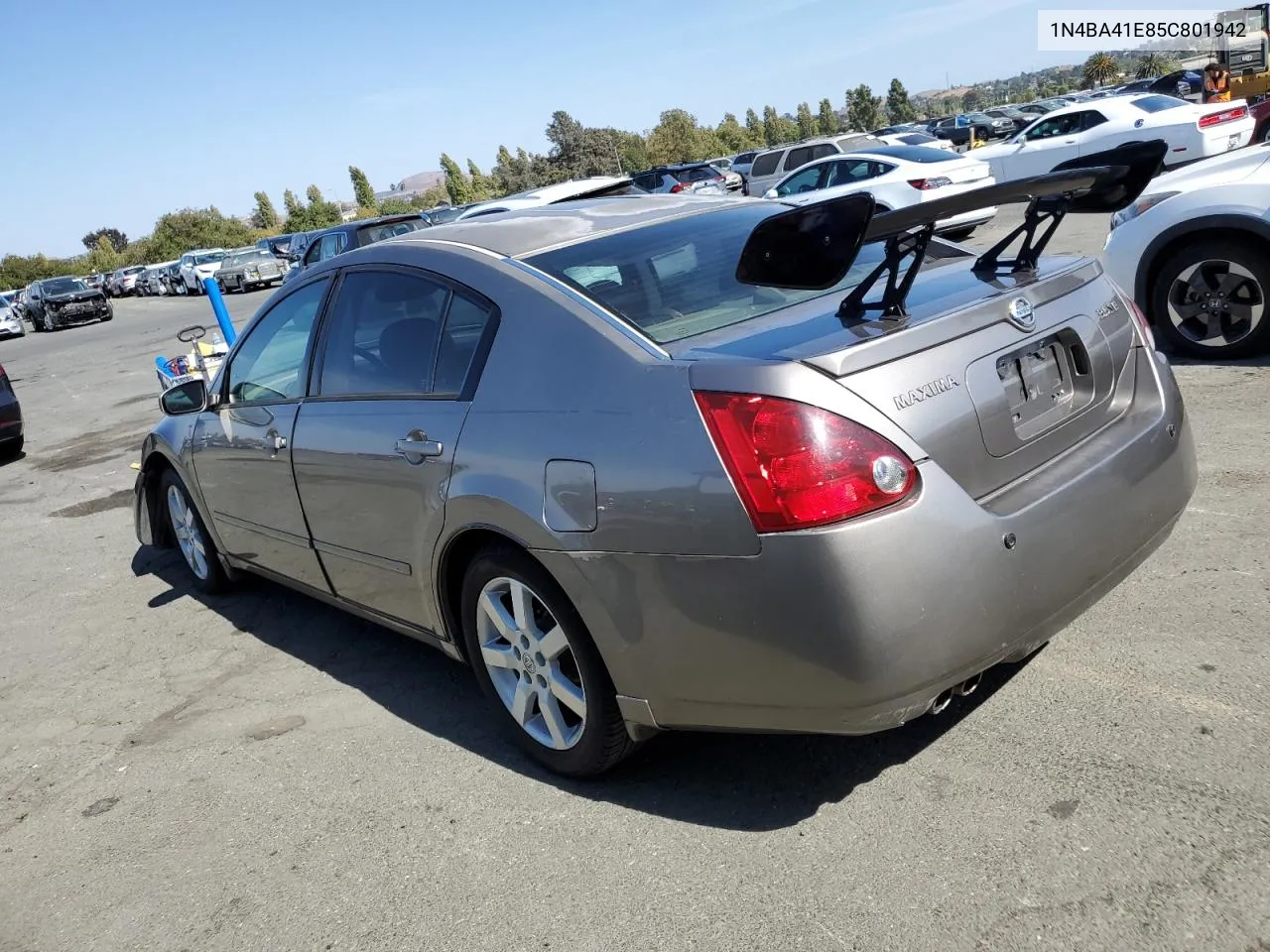 2005 Nissan Maxima Se VIN: 1N4BA41E85C801942 Lot: 72085134