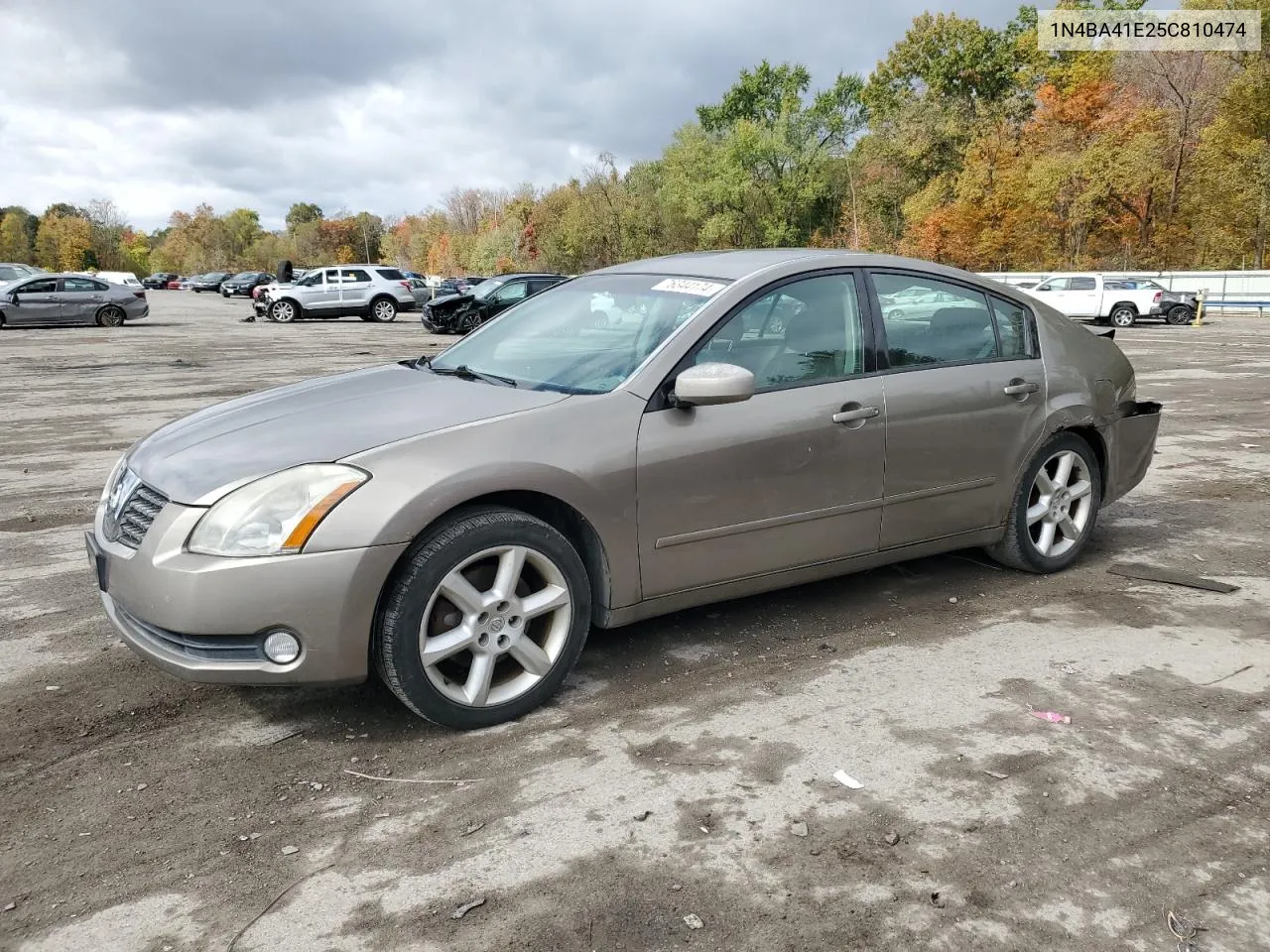 2005 Nissan Maxima Se VIN: 1N4BA41E25C810474 Lot: 76344174