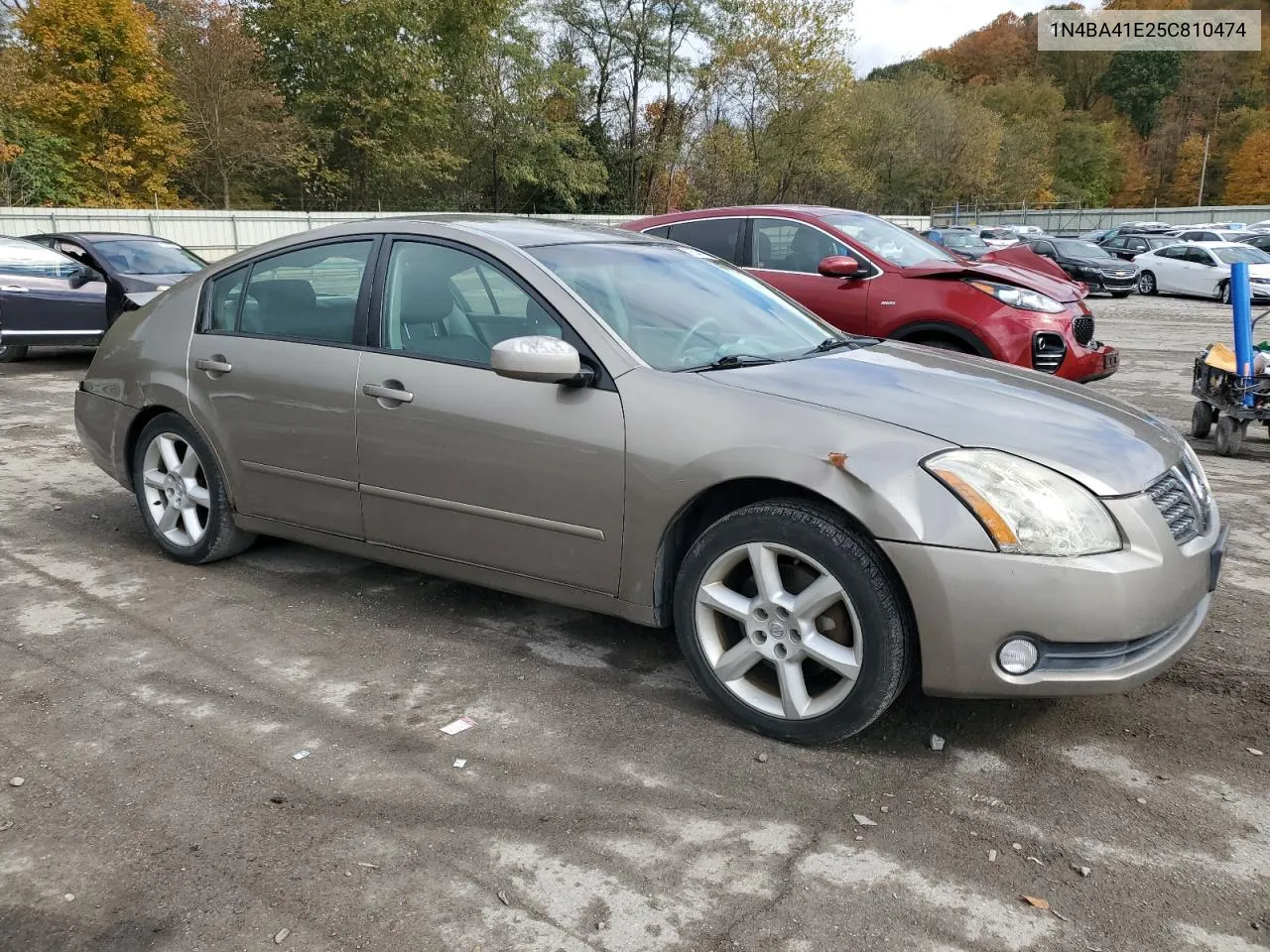 2005 Nissan Maxima Se VIN: 1N4BA41E25C810474 Lot: 76344174