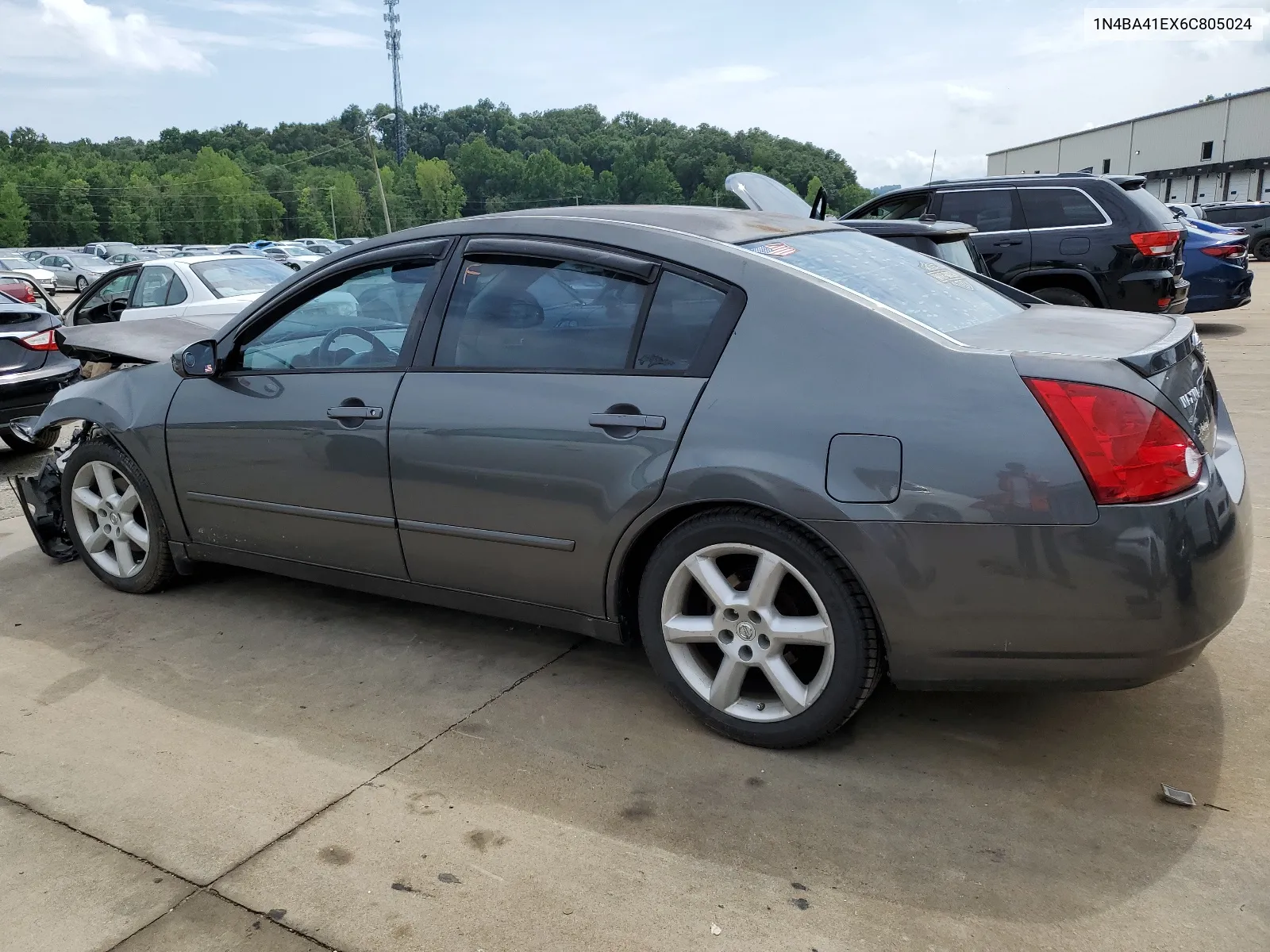 2006 Nissan Maxima Se VIN: 1N4BA41EX6C805024 Lot: 65024384