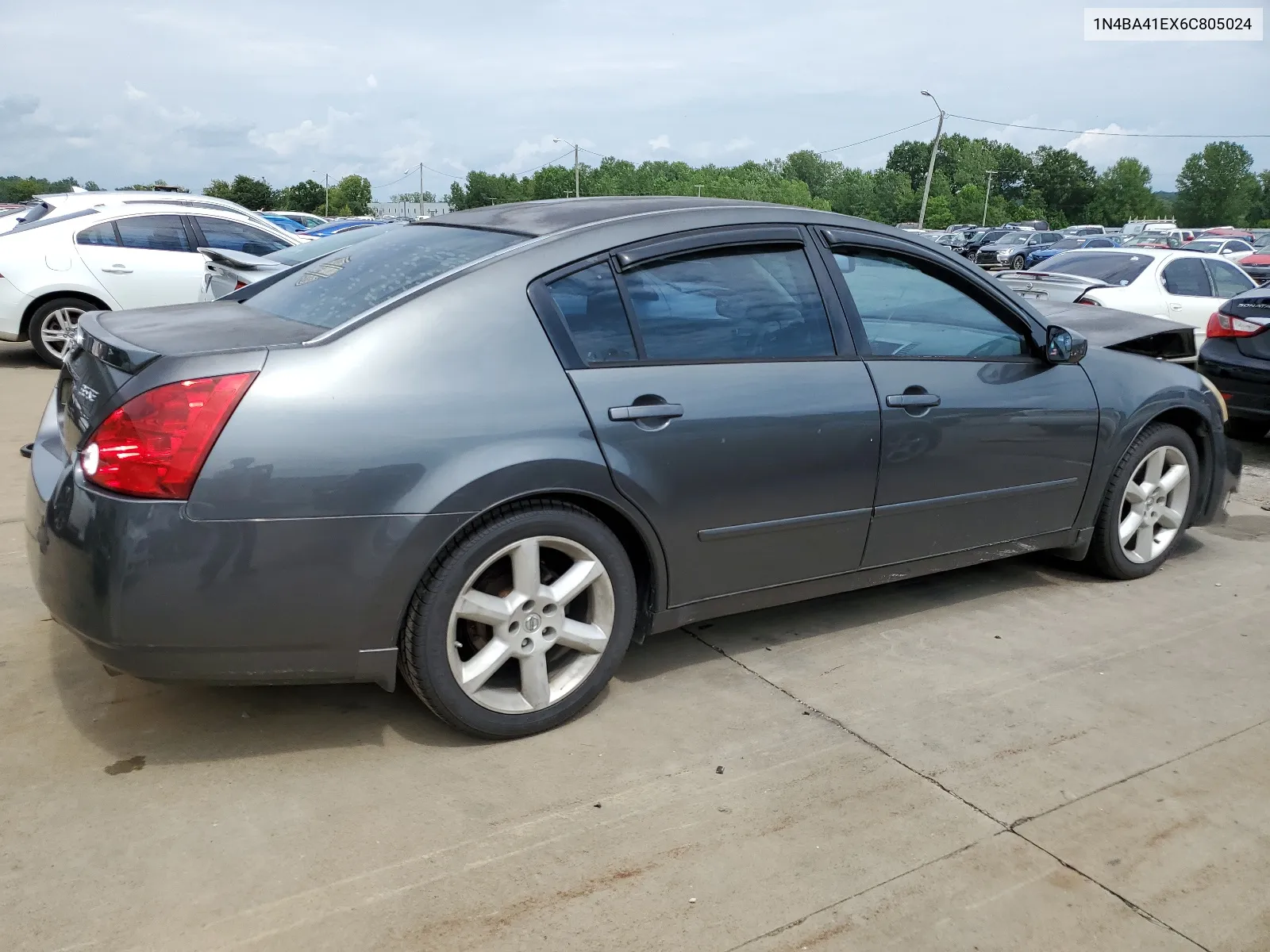 2006 Nissan Maxima Se VIN: 1N4BA41EX6C805024 Lot: 65024384